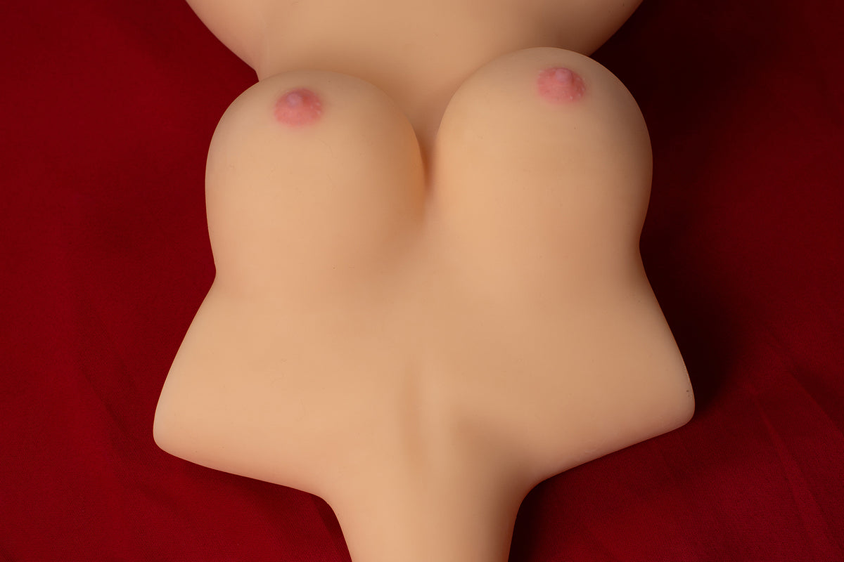65cm Female Torso