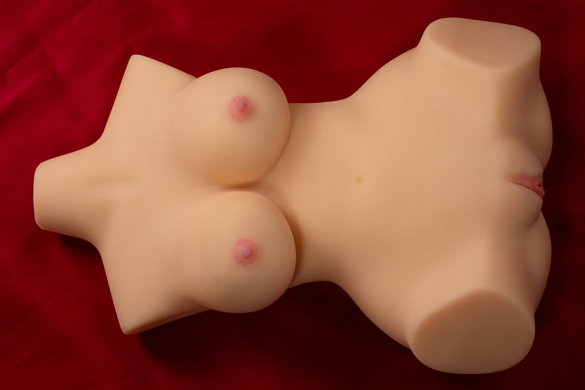 65cm Female Torso