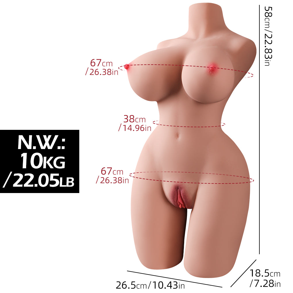 63cm Female Torso