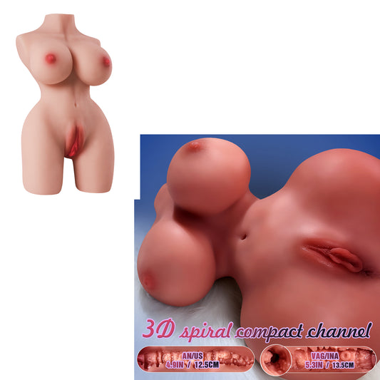 Set of 2 - Female Torsos