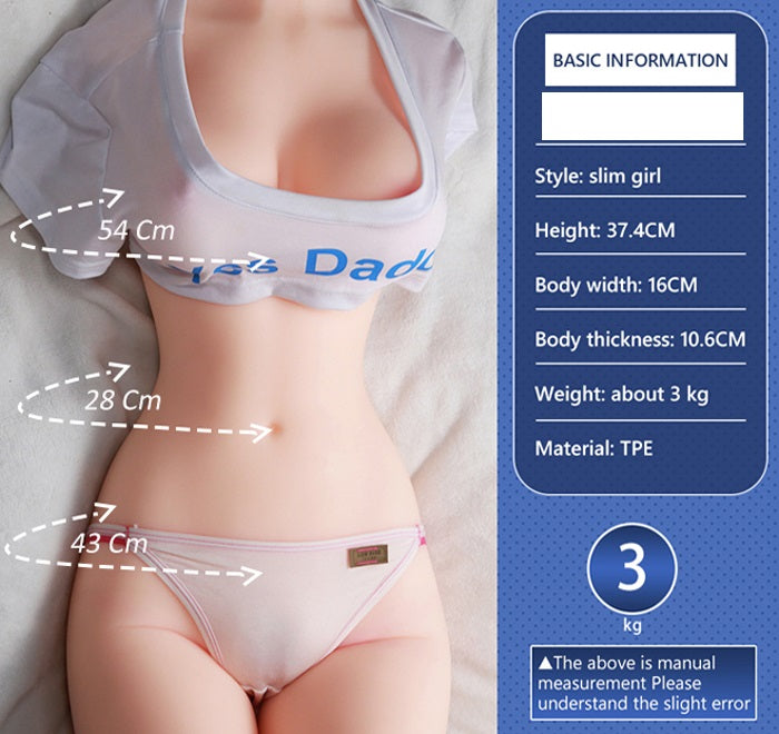 Set of 5 - Female Torsos, Male Torso w/ Penis and Male Masturbator