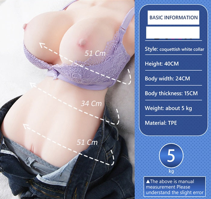 Set of 5 - Female Hips & Torsos