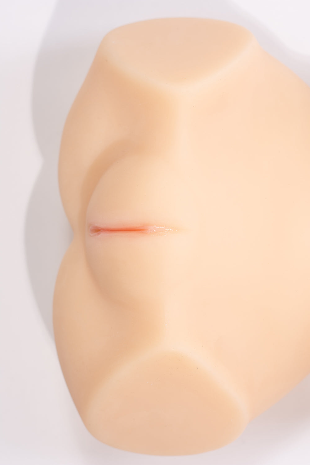 Set of 5 - Female Hips & Torsos