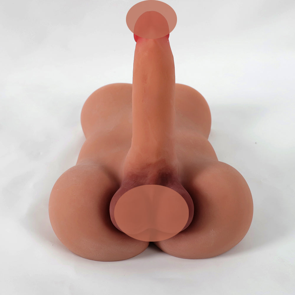 25cm Tall Male Torso W/Penis