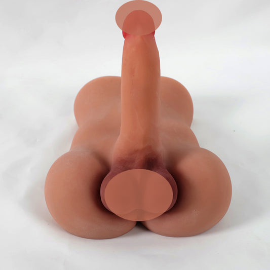 25cm Tall Male Torso W/Penis