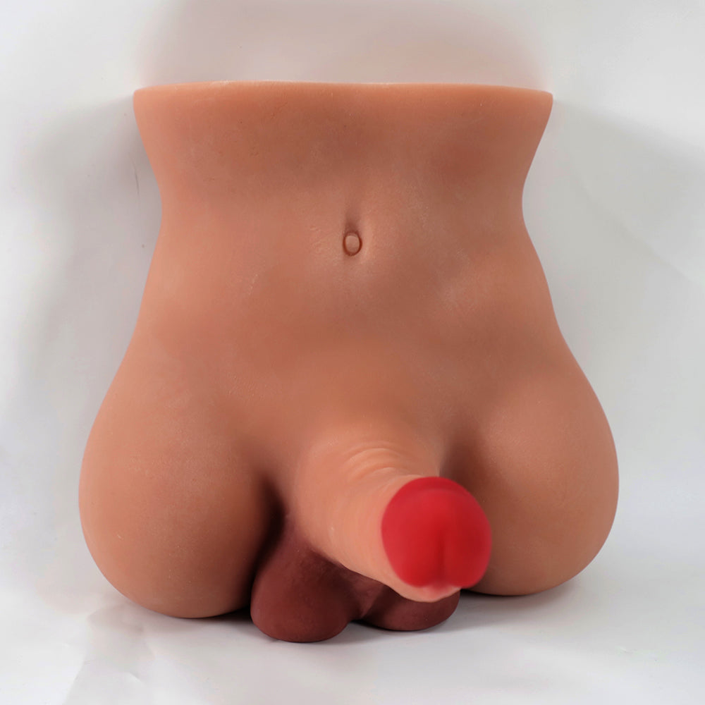 25cm Tall Male Torso W/Penis - InStockEU
