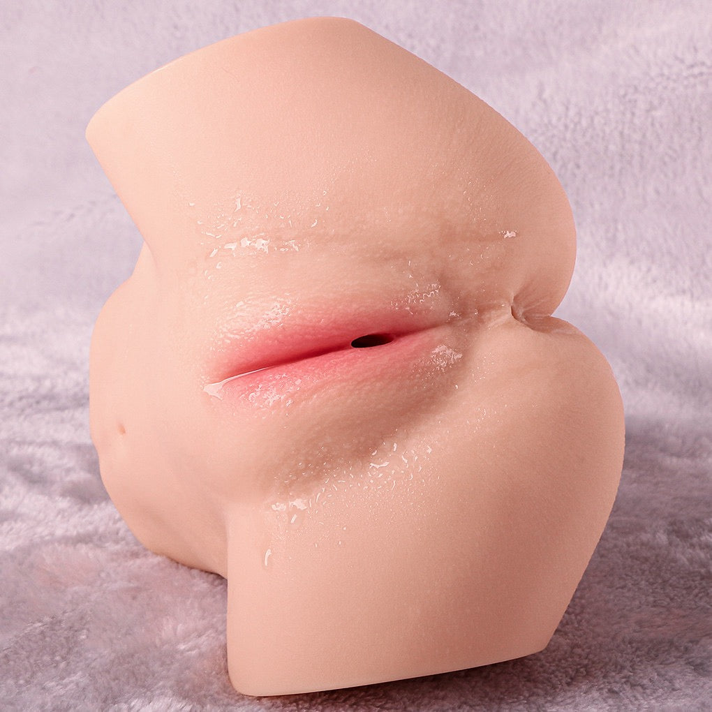 Set of 3 - Female Torsos & a Male Torso W/ Penis